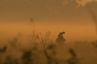 Silhouette plants on field against orange sky