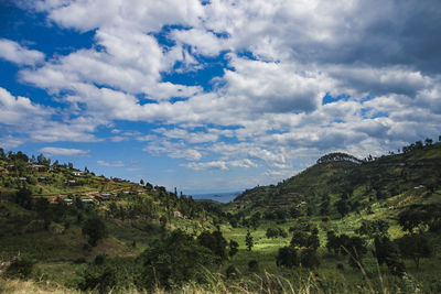 Scenic view of landscape against sky