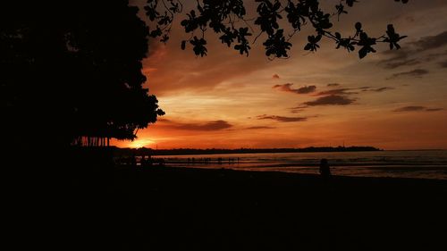 Silhouette of trees at sunset