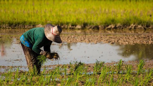 Man working in field