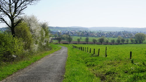 Scenic view of agricultural field against clear sky