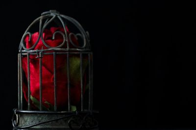 Close up of red electric lamp against black background