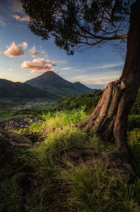 Scenic view of landscape against sky during sunset