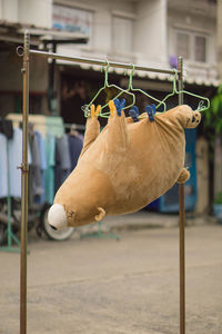 Close-up of a horse toy