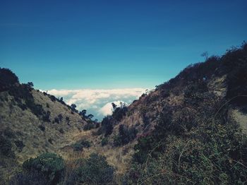 Scenic view of landscape against blue sky