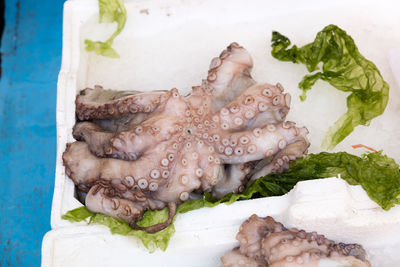 Close-up of fish in plate on table