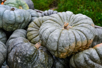 High angle view of pumpkins for sale at market