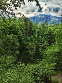 Scenic view of landscape against cloudy sky