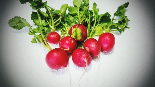 Close-up of red fruit over white background