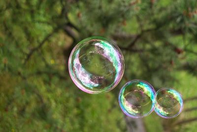 Close-up of bubbles