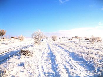 Snow covered field against clear blue sky