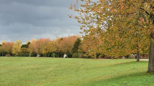 Trees on field against sky during autumn