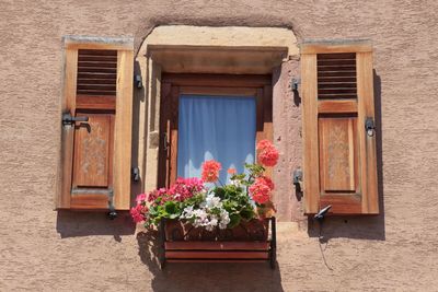 Flower pots on window