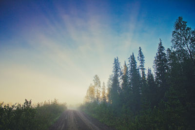 Dirt road amidst trees against sky