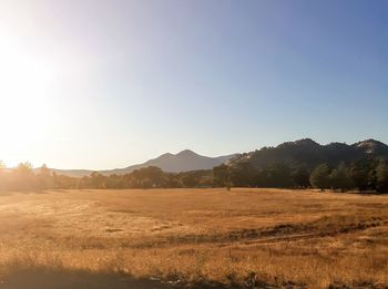 Scenic view of field against clear sky