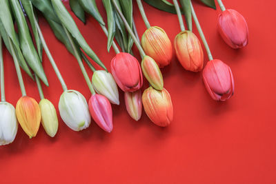 High angle view of candies against red background