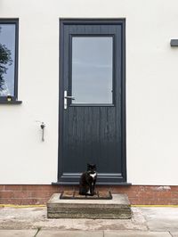Cat sat on a doorstep