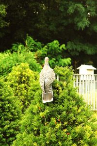 Statue against trees in park