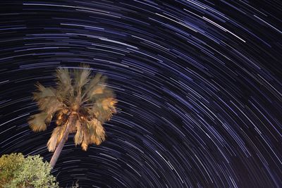 View of firework at night