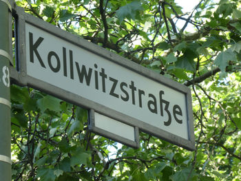 Low angle view of information sign against trees