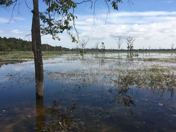 Scenic view of lake against sky