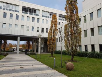 Footpath amidst trees and buildings against sky