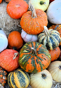 High angle view of pumpkins in market