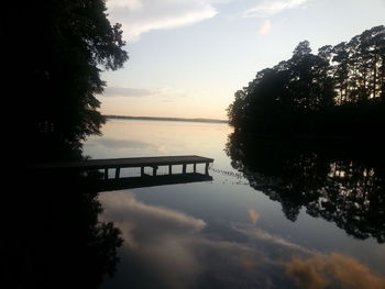 Reflection of trees in water