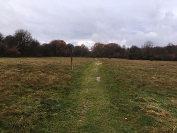 Scenic view of field against sky