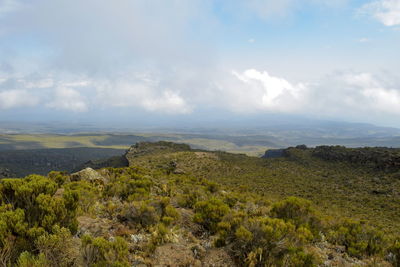 The high altitude moorland of mount kilimanjaro against a cloudy sky, mount kilimanjaro