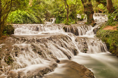 Scenic view of waterfall in forest