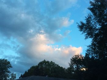 Low angle view of trees against cloudy sky