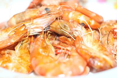 Close-up of fish served in plate