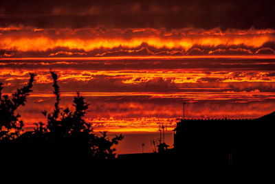 Silhouette trees against orange sky