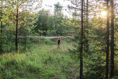 Little girl in casual clothes walks in the taiga forest