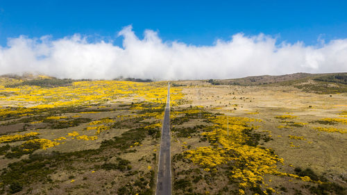 Aerial view of curvy road in paul da serra, madeira island, portugal, in a sunny day