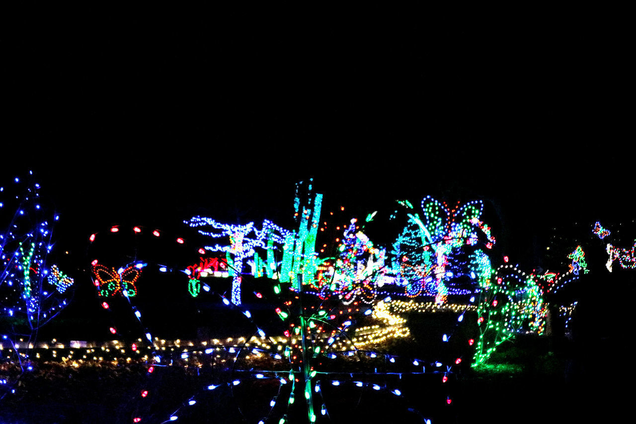 ILLUMINATED FIREWORK DISPLAY AGAINST SKY AT NIGHT