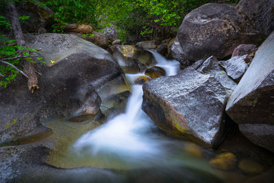 Stream flowing through rocks in forest