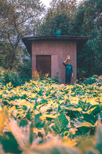 Full length of person standing in front of yellow flowers
