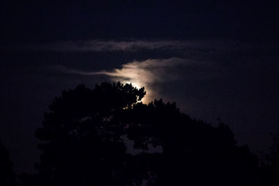 Low angle view of silhouette trees against sky at night