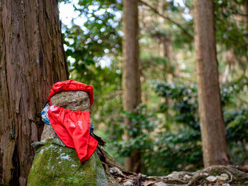 Full frame shot of red tree trunk in forest