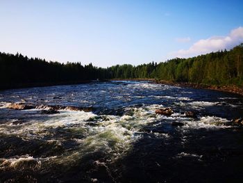 Scenic view of river amidst trees against sky