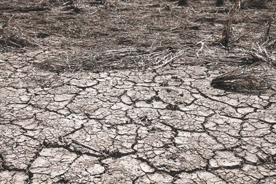Full frame shot of cracked field