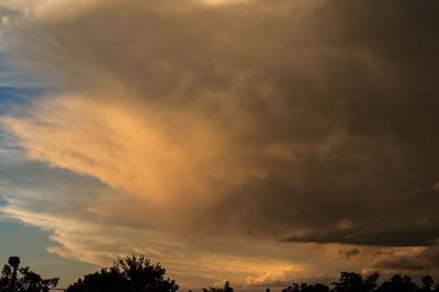 Silhouette of trees against cloudy sky