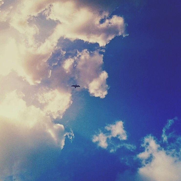 low angle view, sky, cloud - sky, flying, airplane, air vehicle, blue, transportation, mid-air, nature, mode of transport, cloud, beauty in nature, cloudy, sky only, outdoors, scenics, tranquility, no people, day