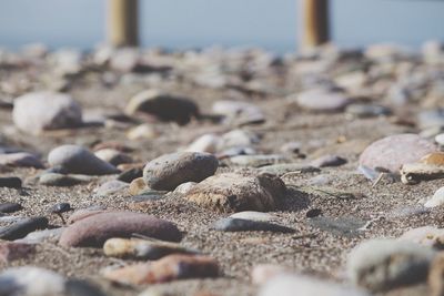 Surface level of pebbles on shore