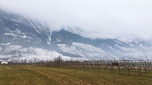Scenic view of field by mountains against sky during winter