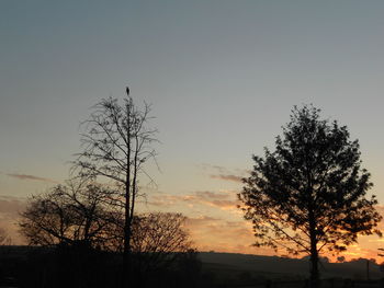 Low angle view of silhouette tree against sky during sunset