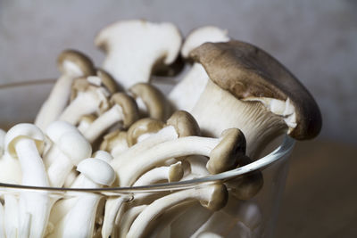 Close-up of mushrooms in bowl