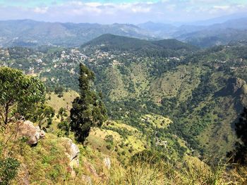 High angle view of trees on landscape